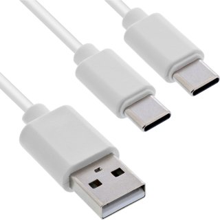 Cablu de alimentare USB-A la 2 x USB type C T-T 1m Alb, InLine IL35121W