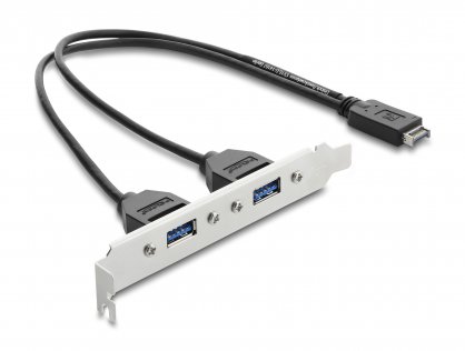 Bracket USB Type E Key A la 2 x USB-A 5 Gbps 0.3m, Delock 67345