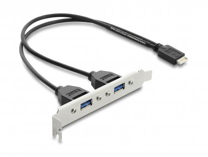 Bracket USB Type E Key B la 2 x USB-A 5 Gbps 0.3m, Delock 67346