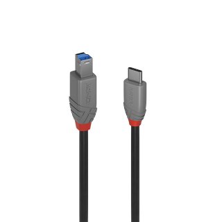 Cablu USB 3.2 Type C la USB-B Anthra Line 3m, Lindy L36668