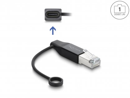 Adaptor retea RJ45 Gigabit LAN la USB type C T-M negru, Delock 61101